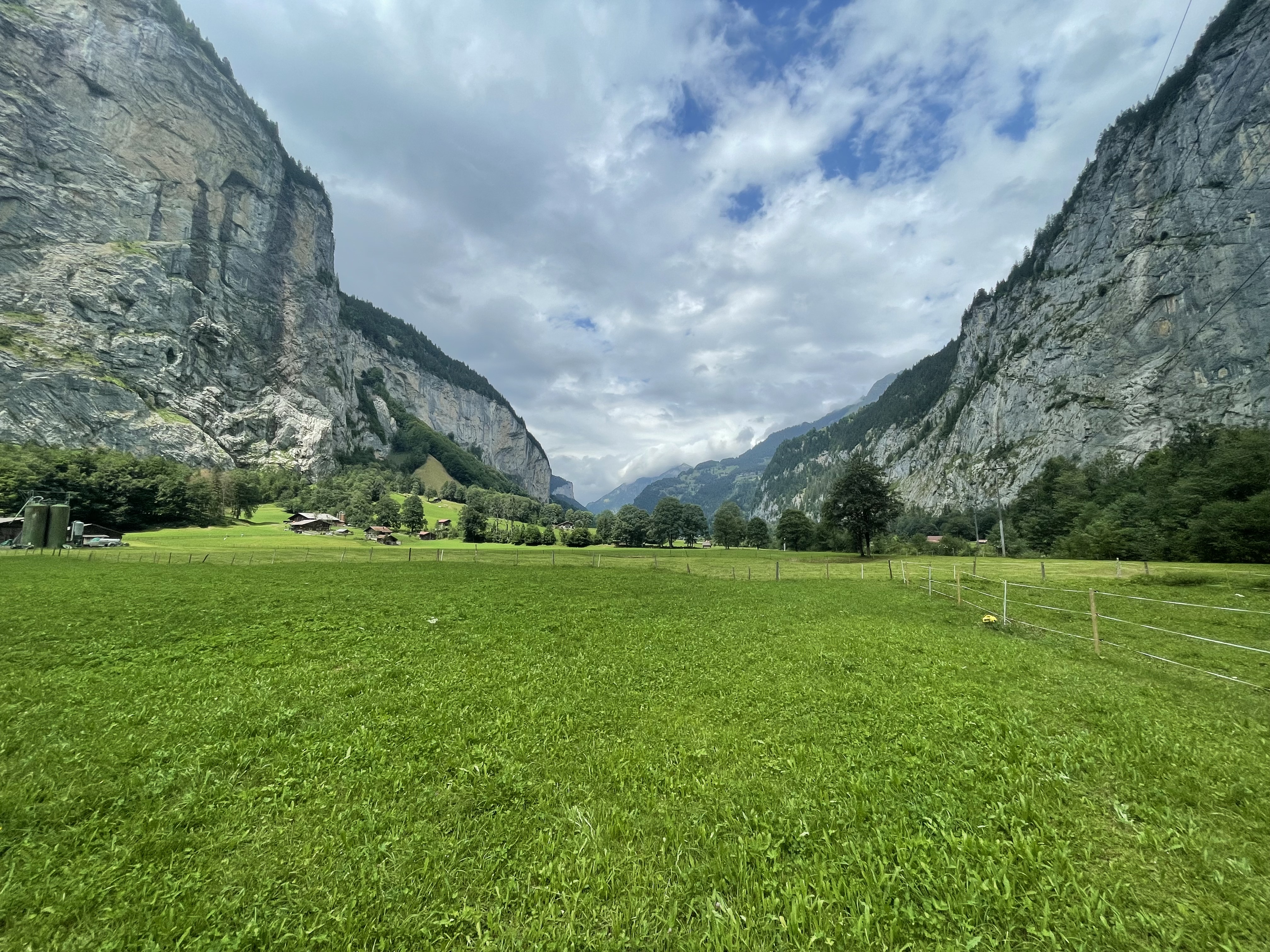 Alpine Meadows